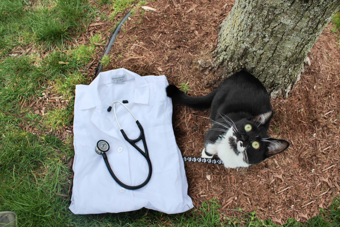 Veterinarian clothing with a cat