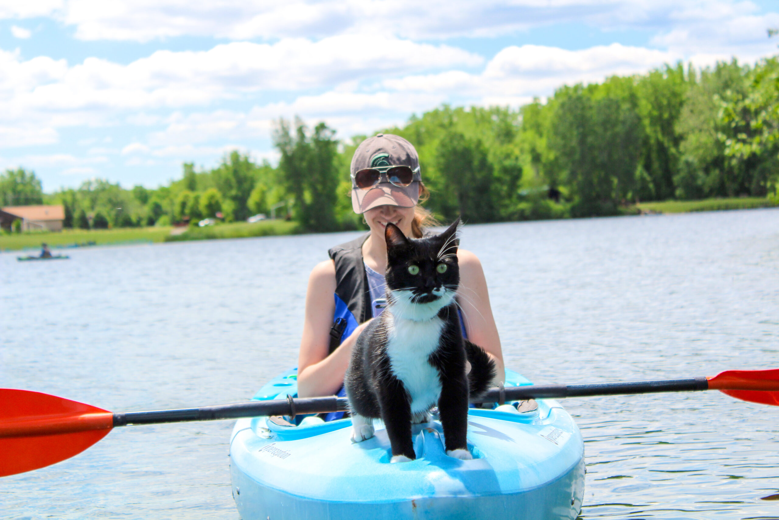 Kayaking with a cat