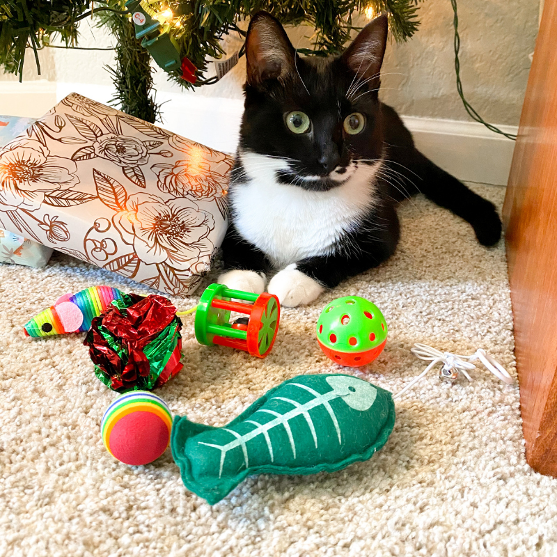 Gift Guide For Cat Lovers